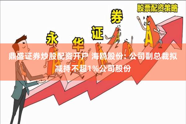 鼎盛证券炒股配资开户 海鸥股份: 公司副总裁拟减持不超1%公司股份