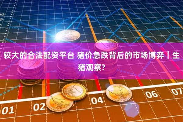 较大的合法配资平台 猪价急跌背后的市场博弈｜生猪观察?