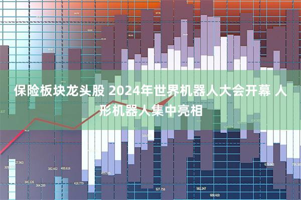 保险板块龙头股 2024年世界机器人大会开幕 人形机器人集中亮相