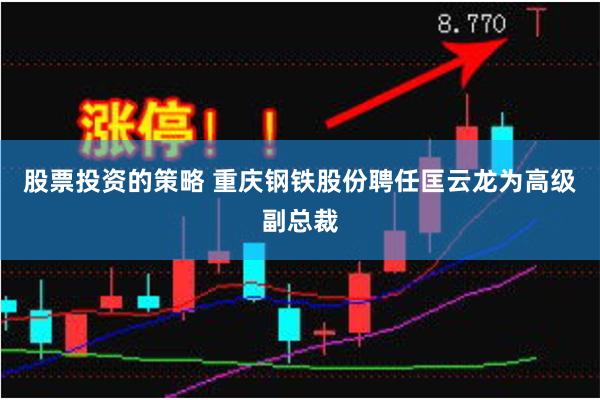 股票投资的策略 重庆钢铁股份聘任匡云龙为高级副总裁
