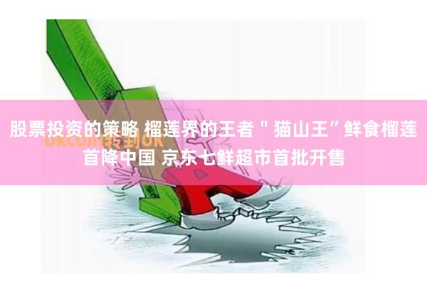 股票投资的策略 榴莲界的王者＂猫山王”鲜食榴莲首降中国 京东七鲜超市首批开售
