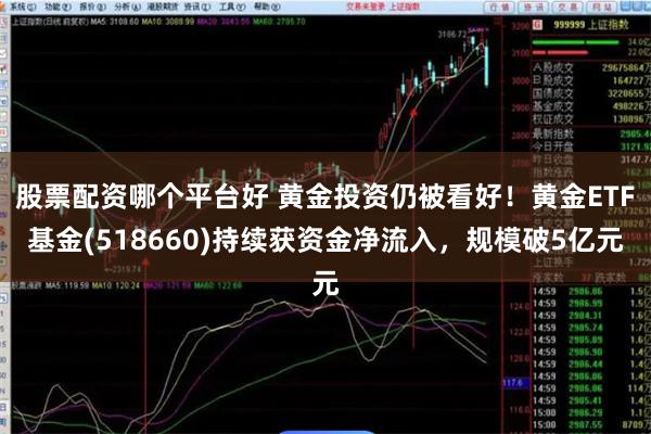 股票配资哪个平台好 黄金投资仍被看好！黄金ETF基金(518660)持续获资金净流入，规模破5亿元