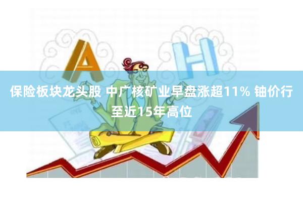 保险板块龙头股 中广核矿业早盘涨超11% 铀价行至近15年高位