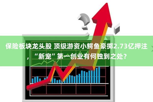 保险板块龙头股 顶级游资小鳄鱼豪掷2.73亿押注，“新宠”第一创业有何独到之处？