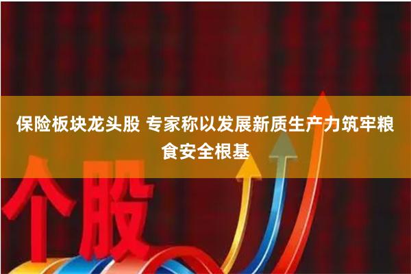 保险板块龙头股 专家称以发展新质生产力筑牢粮食安全根基