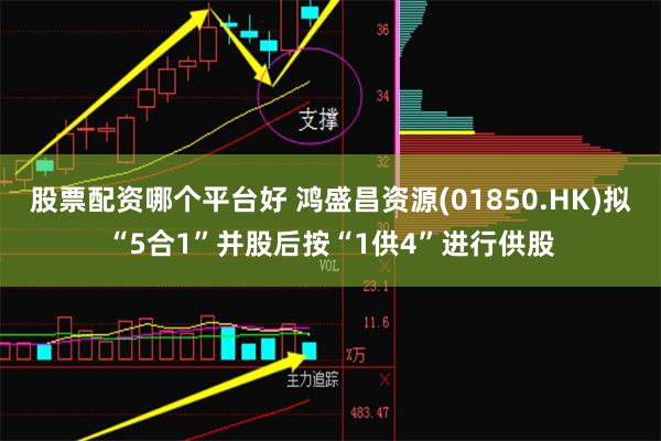 股票配资哪个平台好 鸿盛昌资源(01850.HK)拟“5合1”并股后按“1供4”进行供股