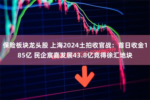 保险板块龙头股 上海2024土拍收官战：首日收金185亿 民企宸嘉发展43.8亿竞得徐汇地块
